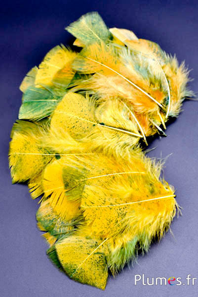 Kalkoen gespikkeld groen - 6-8 cm - kerrie